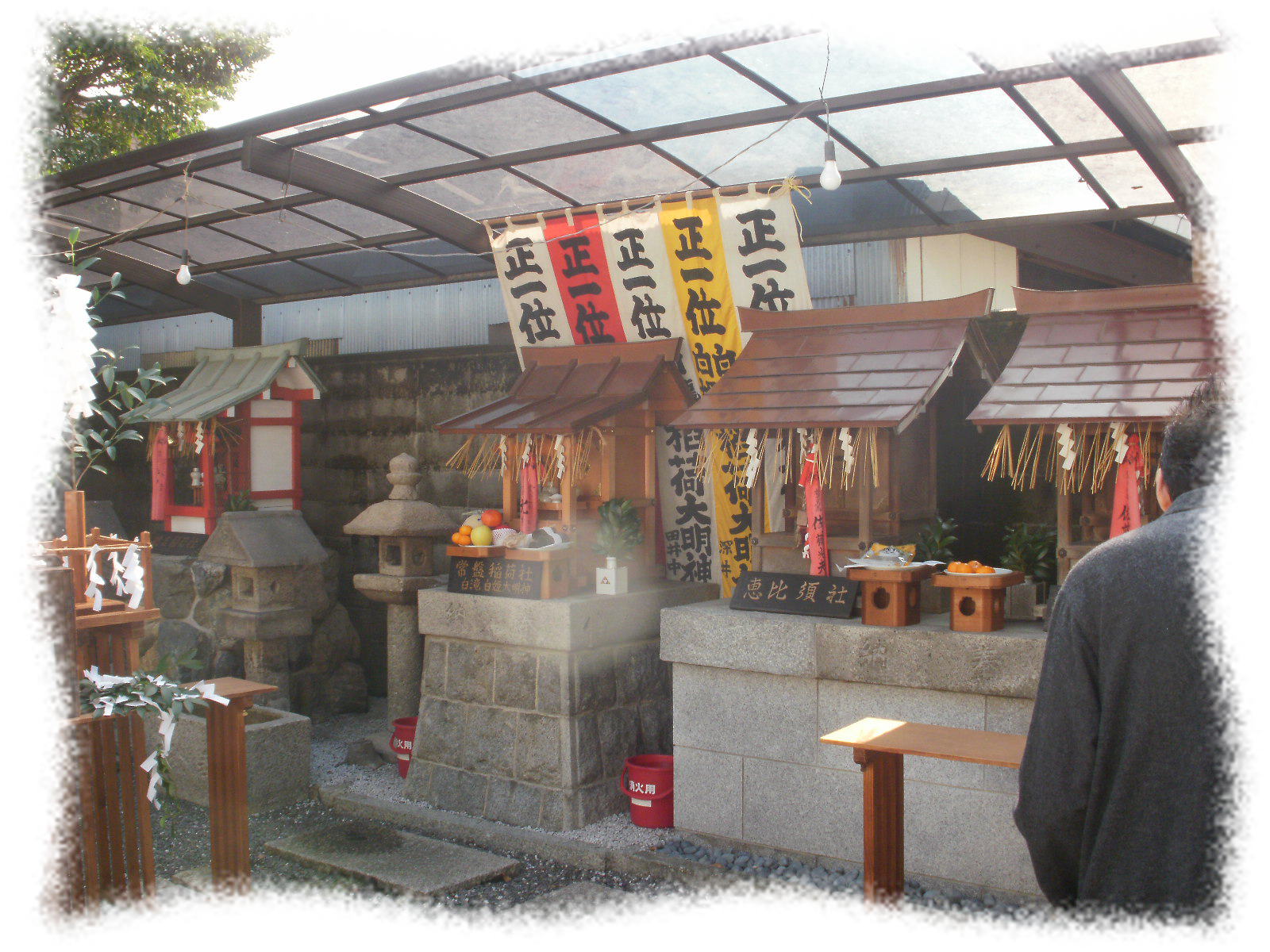 ���D�{�E�_��