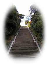 �����̌��