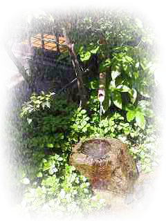 �����̖���