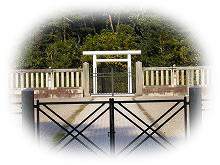 �����̌��