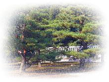 �����̌��