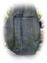 ���R�V���{