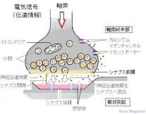 クリニック外観