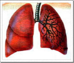 さまざまな気づき・知見・レポート