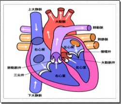 さまざまな気づき・知見・レポート