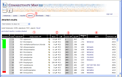 コネクティビティマップ
