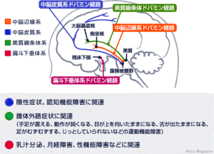 中秋神経系のおはなし