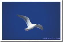 クリニック外観