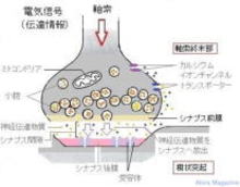 クリニック外観