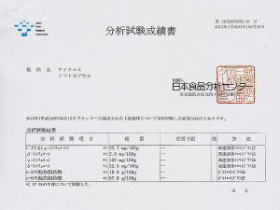 さまざまな気づき・知見・レポート